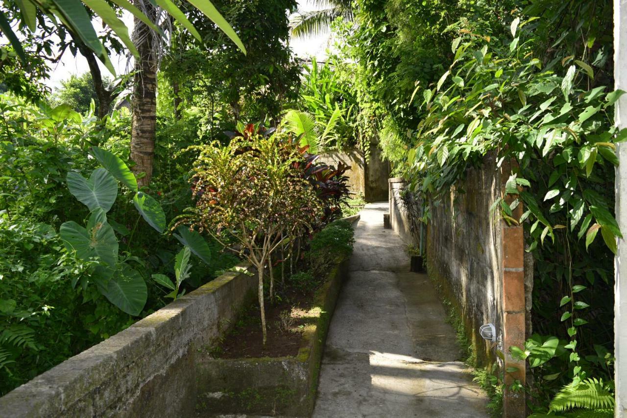 Villa Bindi 우붓 외부 사진